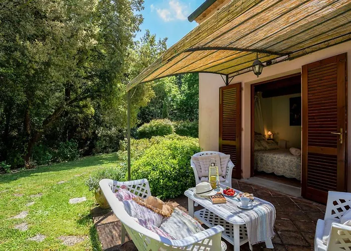 Pian Delle 컨트리하우스 사세타